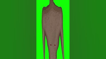 Mr Beast in Minecraft Green Screen