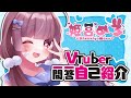 【自己紹介】 \#Vtuber一問一答自己紹介 【 \#姫宮めろ / \#るなてぃっくらぶ 】