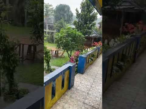 المعلق سعيد الزهراني أجواء إندونيسيا لمن اراد السفر هذه الفتره امطار جفاف شمس