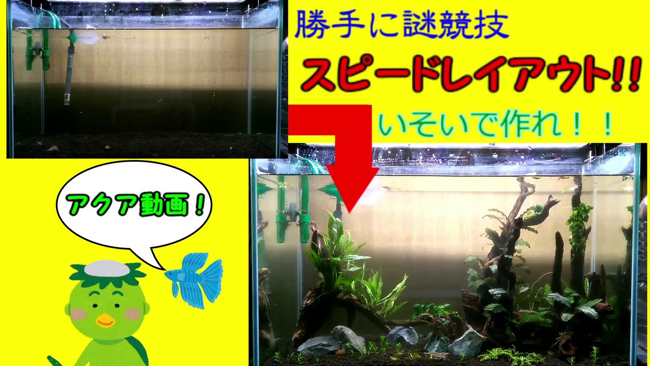 めだか監督兄貴 モンスターファーム2 Biim兄貴攻略wiki Gamerch めだか監督兄貴 モンスターファーム2 Biim兄貴攻略wiki Gamerch