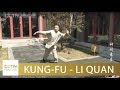 Le yi quan  art martial chinois atypique