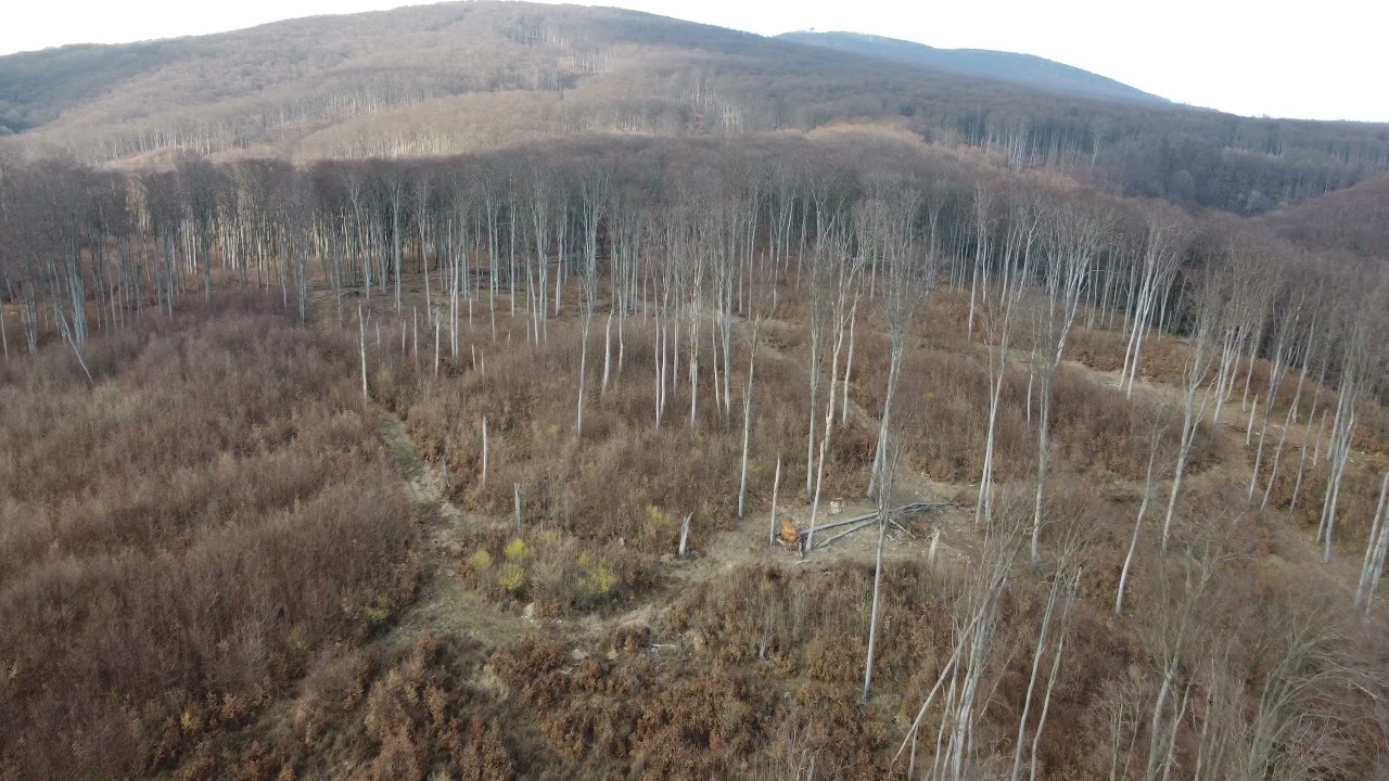 Dji//Hungary//Bakony//Nature//Spring//4k