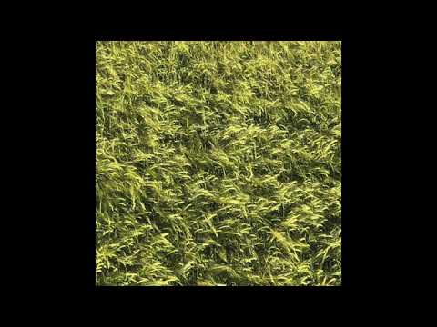 Skee Mask - Rdvnedub