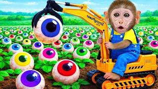 Monkey Bibi Struggles with a Giant Candies and Builds a Smart Vehicle to Transport It Home