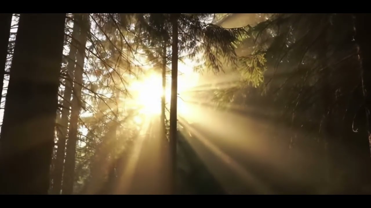 Deep Focus Field - Focus Music for Work, Study & Productivity | Concentration Music 💪💪💪🧘🧘‍♀️📚