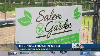 Salem Fresh Ideas Garden sets big goals for 2017