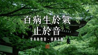 【五音療癒】百病生於氣，止於音｜宮商角徵羽・疏肝解鬱・清心安神・健脾祛濕・舒緩焦慮內耗｜Chinese Zen Music・癒し音楽
