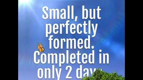 Small but perfectly formed