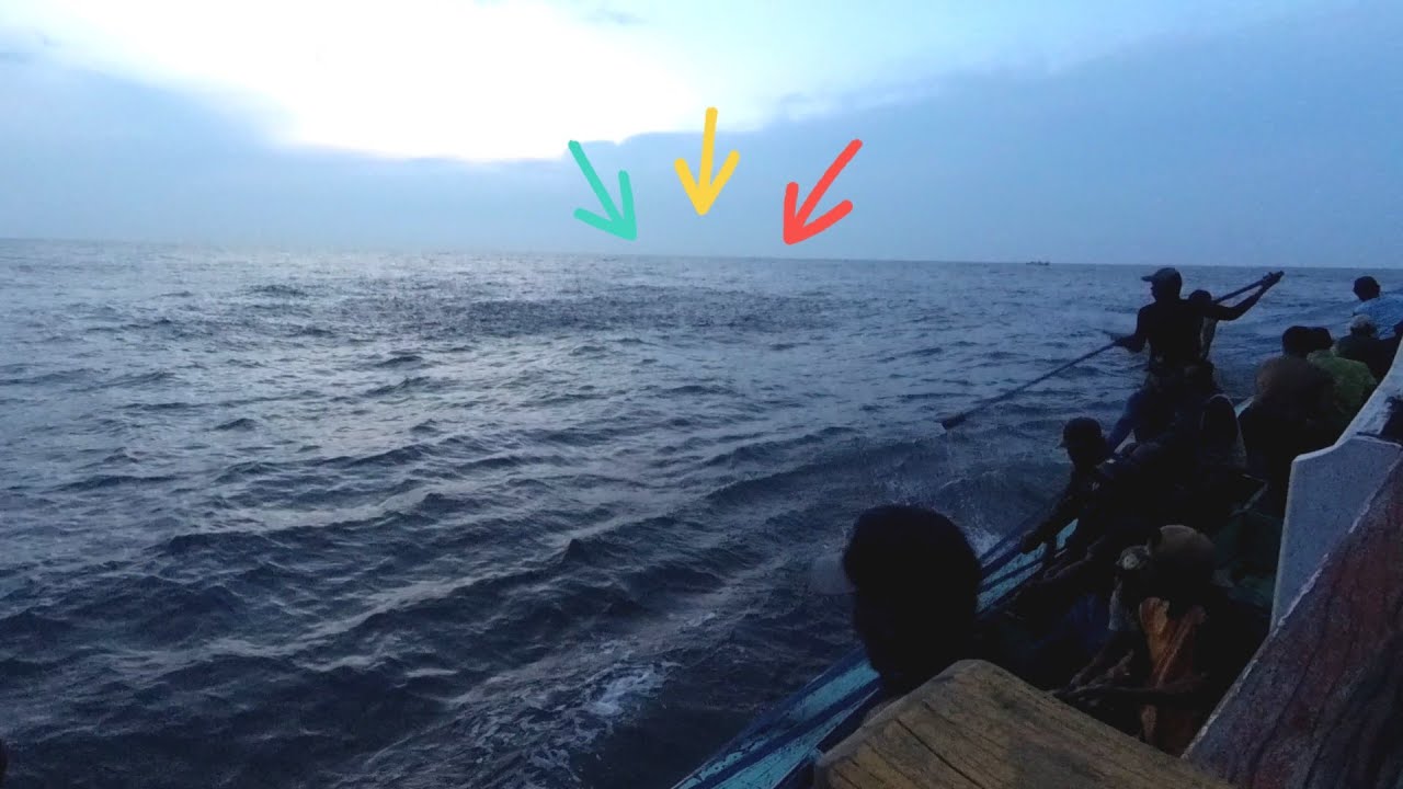 Bikin tegang ll ikan ini sangat liar hampir keluar dari lingkaran jaring ll Nelayan puger jember 