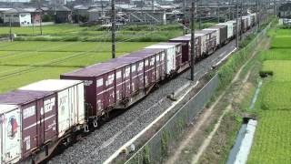 東北本線 3055レ EF64-1014(原色)+コキ
