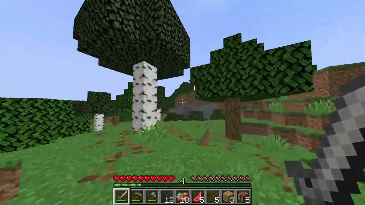 mc yeni dünya açmak zorunsda kaldım