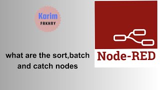 12- What are the Sort, Batch, and Catch nodes