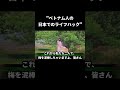 日本の梅は取り放題