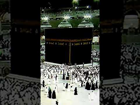 القارئ مشاري راشد العفاسي