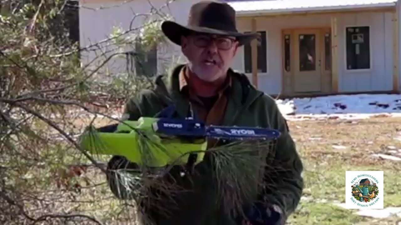 Fallen Trees? Do THIS First