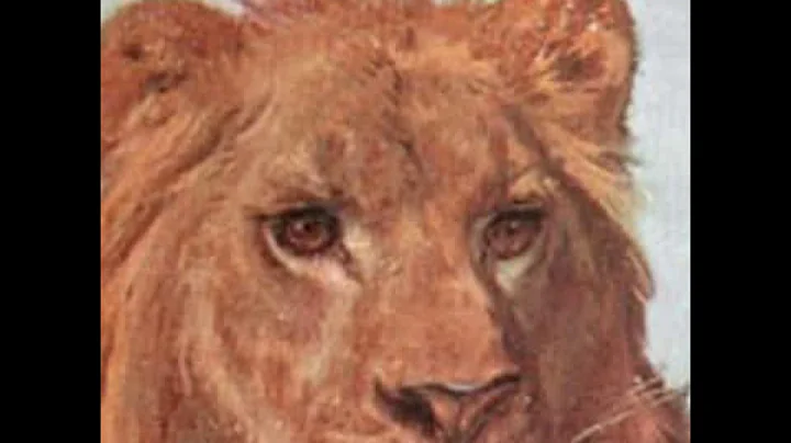 Rosa Bonheur by Franois CRASTRE read by Susan Mori...