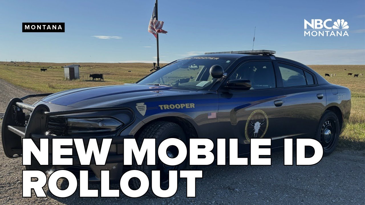 MHP to accept mobile driver's licenses during traffic stops