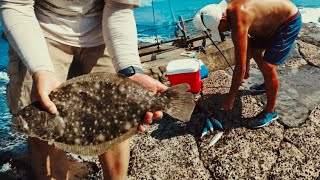 BIG Fluke at a NJ Jetty! INSANE Fall Fishing Action