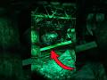 What if a Horror Game was Entirely Underwater? #shorts