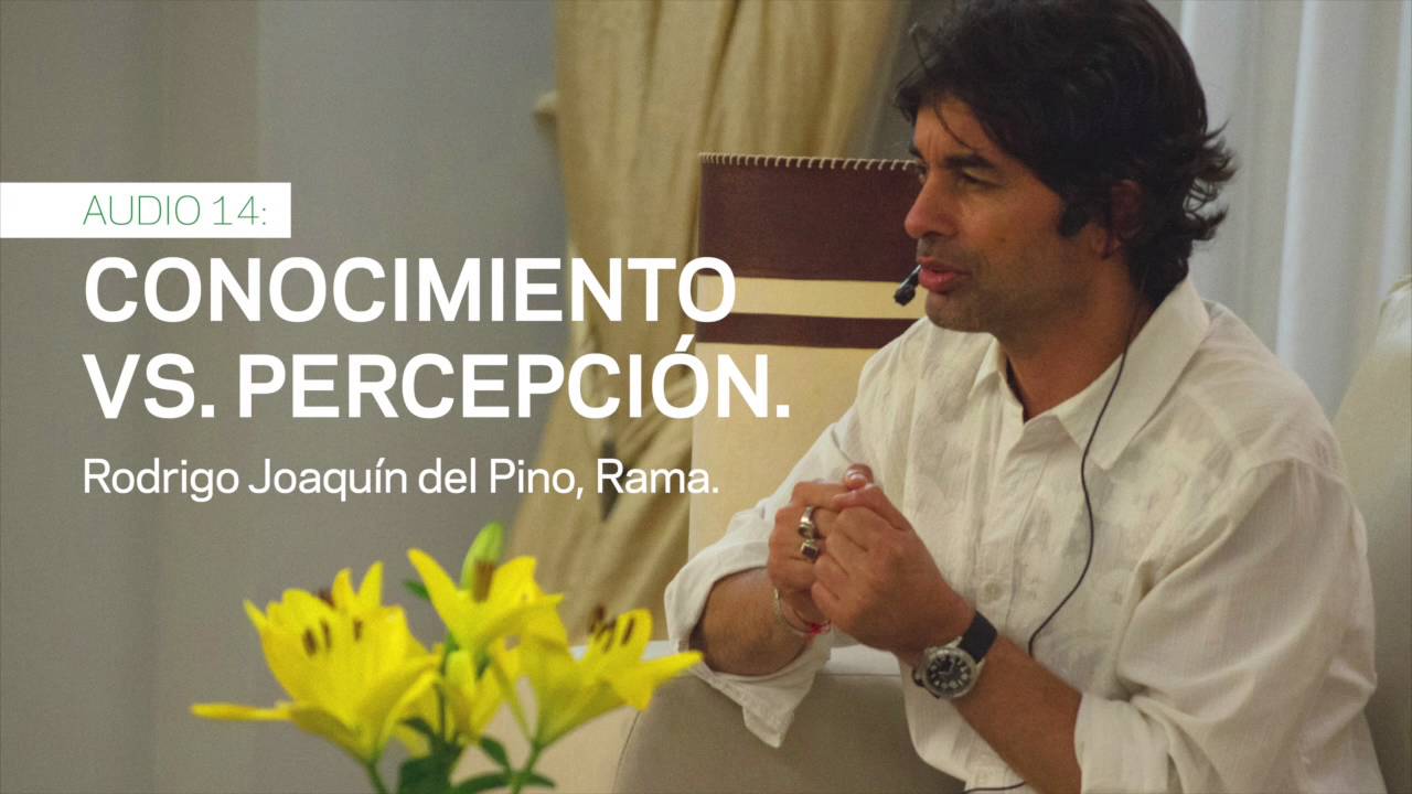 Conocimiento vs. Percepción | Rodrigo Joaquín del Pino (Rama)