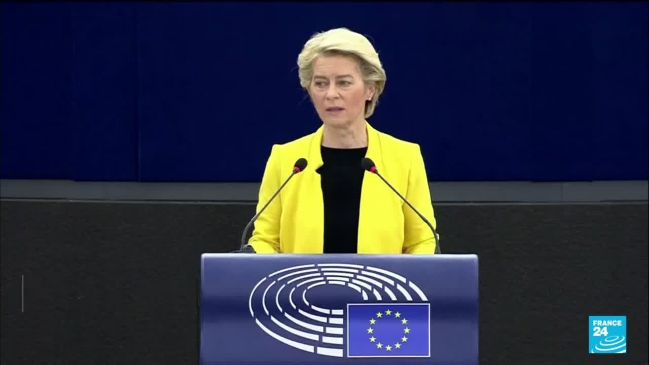 EU warns Hungary to fix anti-LGBTQ law or face action • FRANCE 24 English