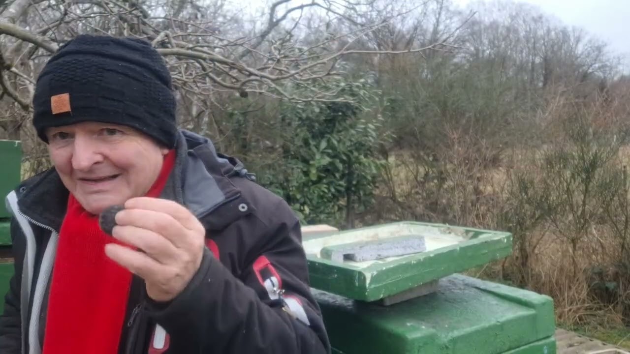 Die Schutzmöglichkeiten der Bienenvölker am meinem Stand vor größtem Feind der Naatur......