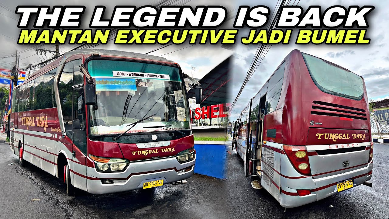 The Legend Is Back 😍 Bus Kenangan , Mantan Executive Jadi Bumel ❗️| trip Tunggal Dara AD 7554 OG