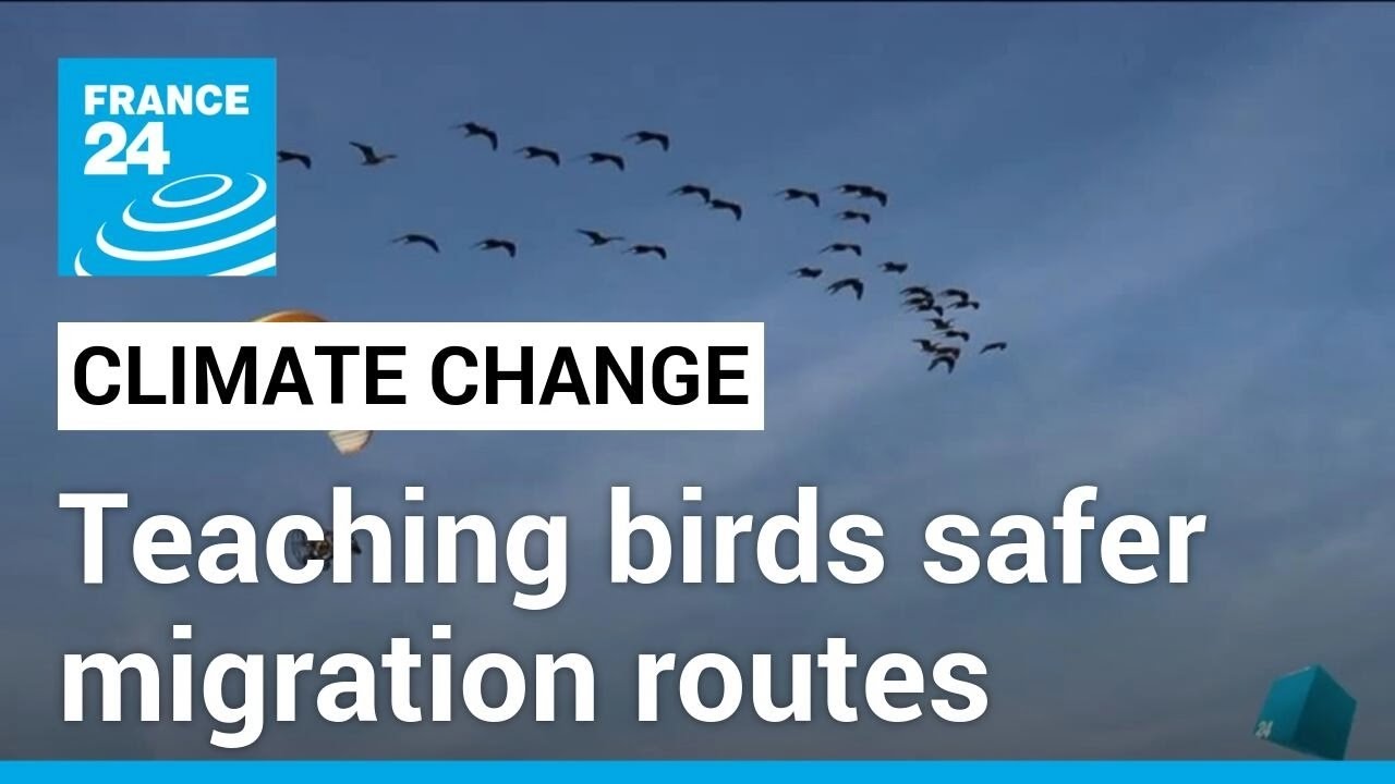 On board two ultralight aircrafts, researchers teach migratory birds a safer route