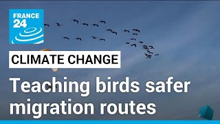 On board two ultralight aircrafts, researchers teach migratory birds a safer route