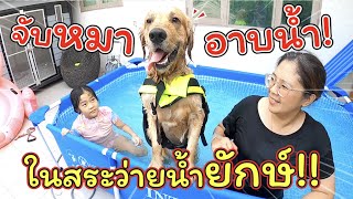 จับหมาอาบน้ำ ในสระว่ายน้ำยักษ์!! | แม่ปูเป้ เฌอแตม Tam Story