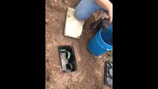 D Box Adjustment