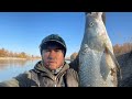 ЖЕРЕХ 2021, река ЛЕПСЫ, рыбалка в Талдыкоргане, ловля жереха, рыбалка в Казахстане, отдых на природе