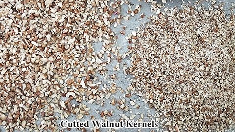 Large Scale Walnut Kernel Cutting Machine in the Netherlands