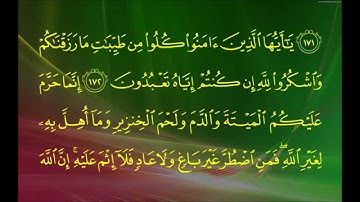 سورة البقرة (الآية 168 ~ الآية 182) - سعود بن إبراهيم الشريم