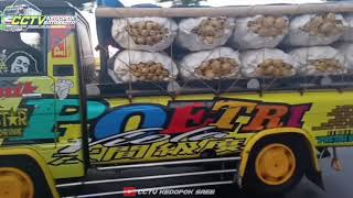 wouuw😱konvoi 3 pic up L300 muatan kentang stut dijalur probolinggo