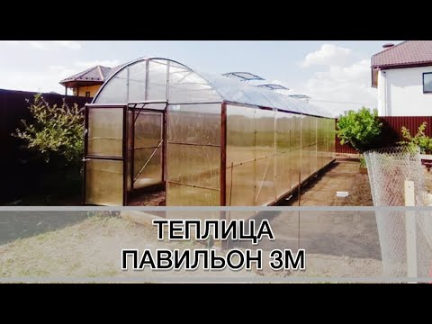 ТЕПЛИЦЫ ПАВИЛЬОН 3М.