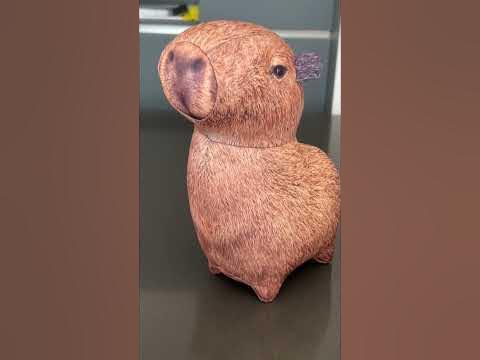 КАПИБАРА - YouTube