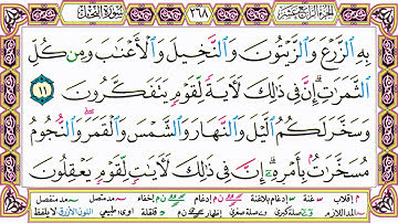 القرآن الكريم مقسم صفحات   الشيخ حاتم فريد   سورة النحل   صفحة 268 مكتوبة   مصحف التجويد الملون 720p