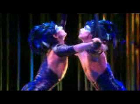 Aerial Straps - VAREKAI (Cirque du Soleil)