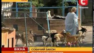 Осторожно: злая собака! Осторожно: злая собака!