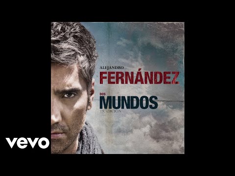 Alejandro Fernández - Mi Rechazo (Visualizer)