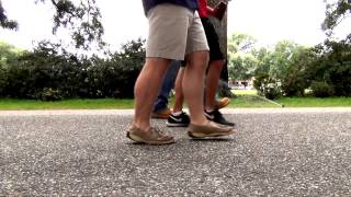 Delta Chi Spring Hill - Fancy