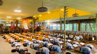 Tinh Hoa NIKAYA - Đảnh Lễ Trí Đức Như Lai - Phật Đạo Vô Thượng & Xuyên Không Diện Thánh.