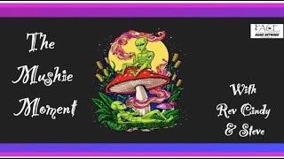 Welcome to the Mushie Moment for Tuesday, June 9, 2026