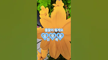 들꽃이될게요 임영웅신곡 영웅시대 건행하세요 축복합니다 Shorts 