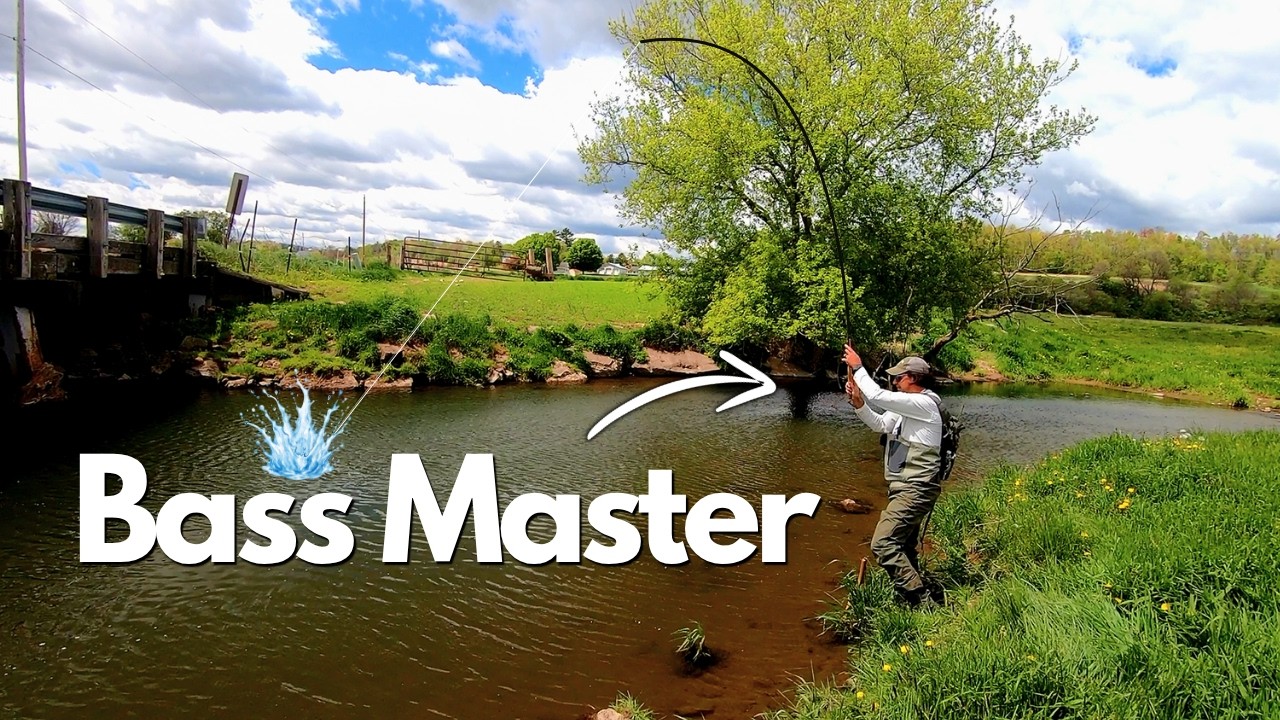 BASS n Trout Tenkara Fishing w Mike Lutes! #tenkara #fishing #fishingvideo #fish #bass #bassfishing