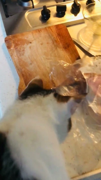 george-do-you-want-to-learn-how-to-make-omelettes-youtube