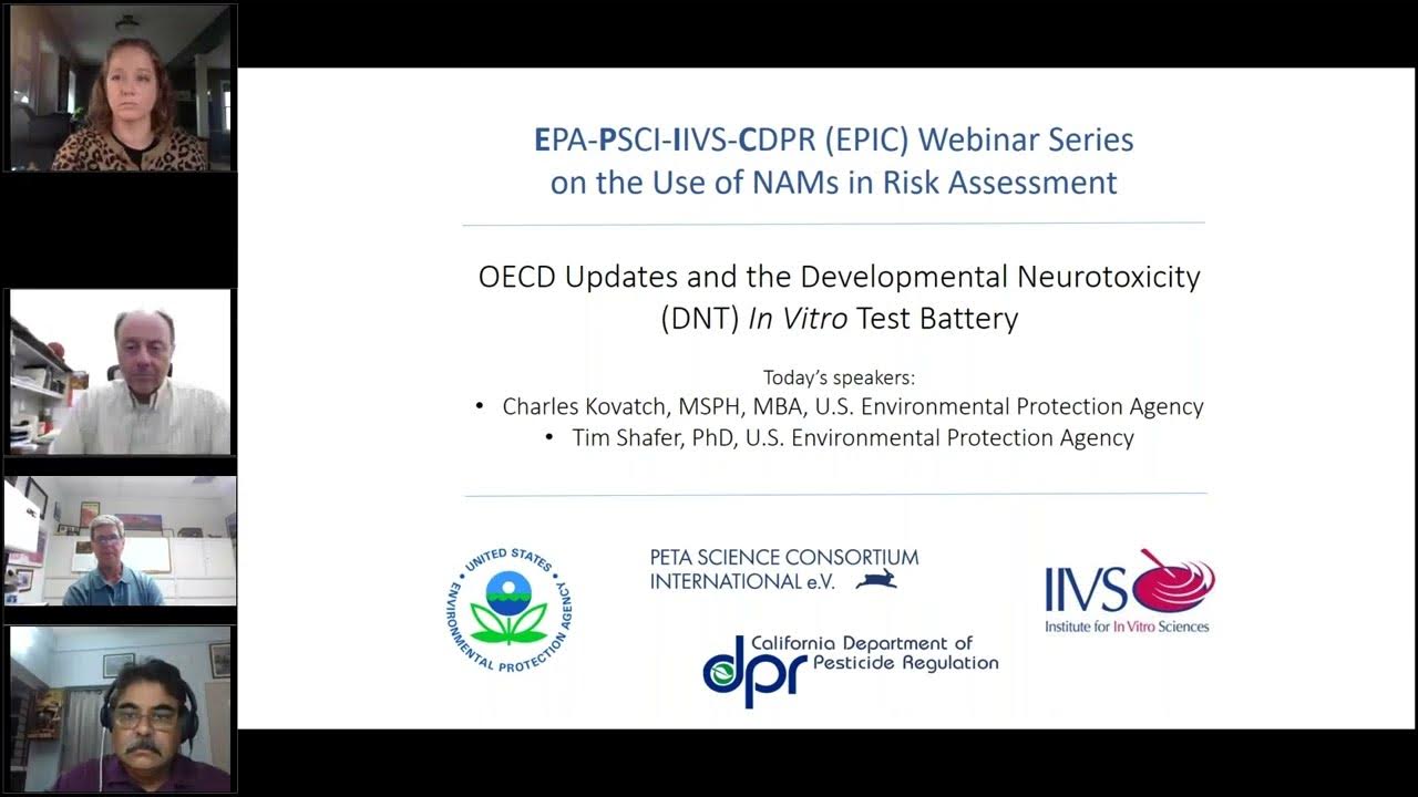 OECD Updates and the Developmental Neurotoxicity (DNT) In Vitro Test