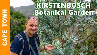 Cape Town - Kirstenbosch Botanical Garden Tour - At the foot of Table Mountain by Traveller & CopenhagenInFocus 1,118 views 7 months ago 5 minutes, 34 seconds