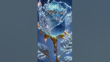 #egzonibrahimi #zalzalah #quran #سورة_الزلزلة #اكسبلور #المصحف #qurantilawat #تيك_توك